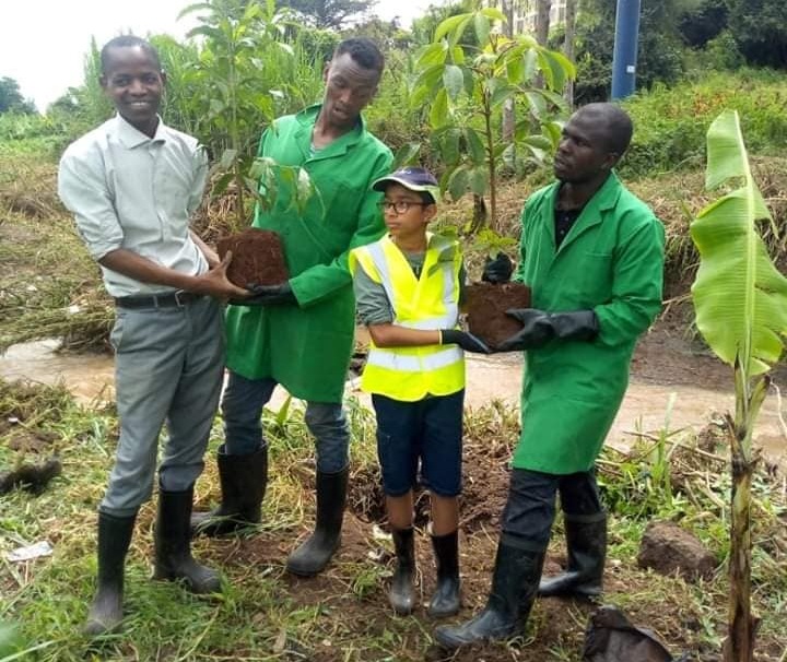 Tree Planting